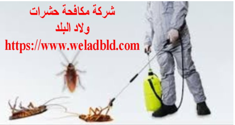 افضل - افضل شركة مكافحة حشرات في عجمان0508084006  Do