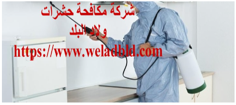 افضل شركة مكافحة حشرات في عجمان0508084006  Do