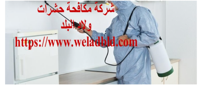 افضل شركة مكافحة حشرات في دبي0508084006