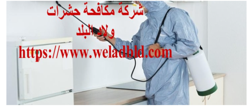 افضل شركة مكافحة حشرات في دبي0508084006 Do