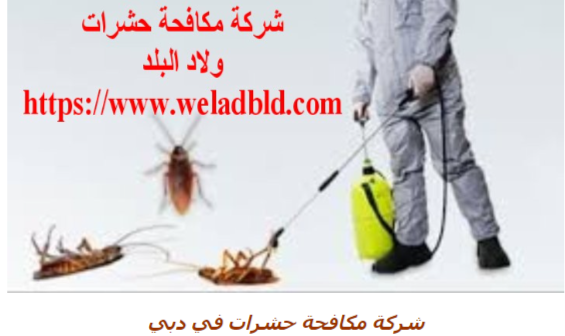 افضل شركة مكافحة حشرات في دبي0508084006 Do