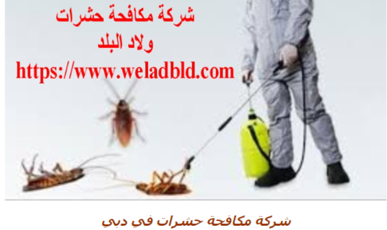 افضل register search php - افضل شركة مكافحة حشرات في دبي0508084006 Do