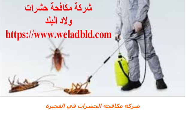 افضل register memberlist php - افضل شركة مكافحة حشرات في الفجيرة 0508084006  Do