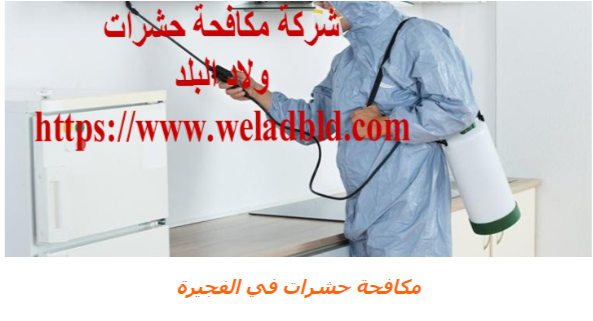 افضل شركة مكافحة حشرات في الفجيرة 0508084006  Do