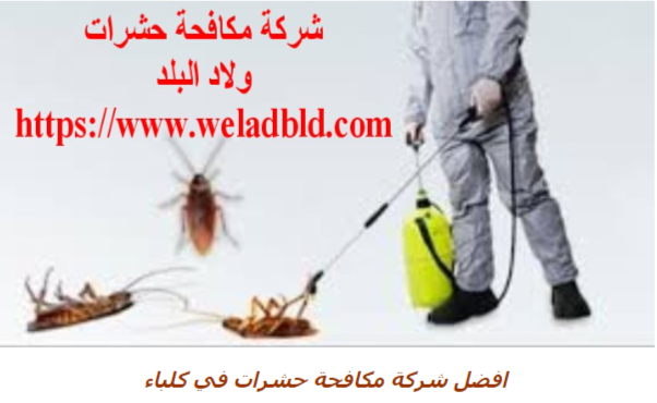 احدث واقوي شركة مكافحة حشرات في كلباء0508084006 Do