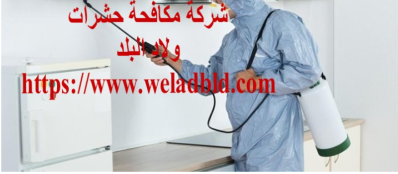 اقوي شركة مكافحة حشرات في دبي0508084006 Do