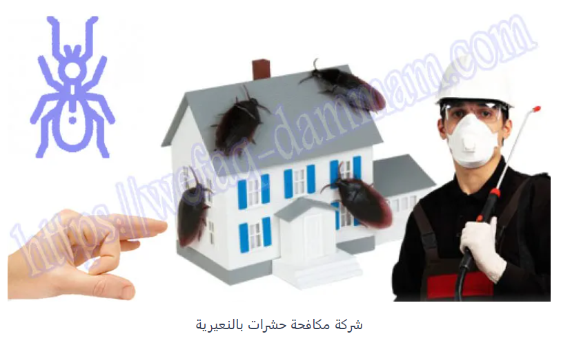 افضل register - افضل شركات مكافحة الحشرات في النعيرية  Do